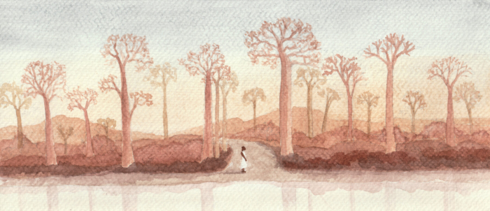 African Panarama