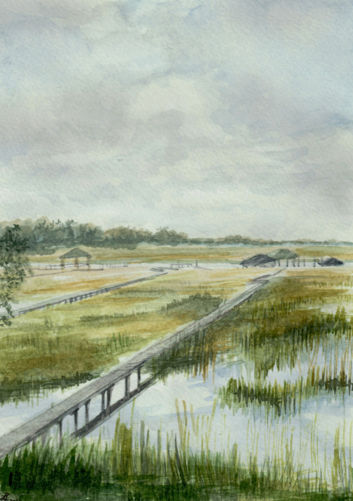 Waterfields